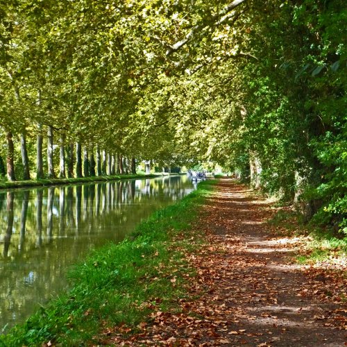 Moissac Canal.jpg