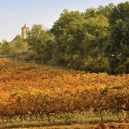 Monasterio de Irache among autumn-coloured vineyards