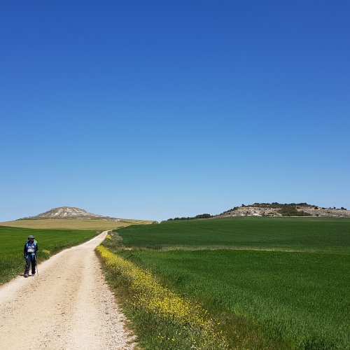 Big Sky Meseta - One of the best parts of the Camino Frances