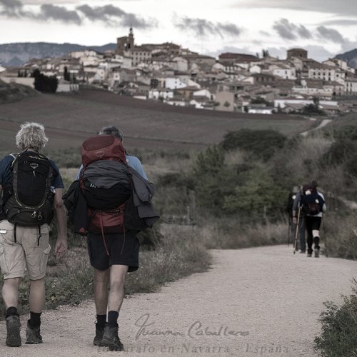 Pilgrims on the way to Cirauqui