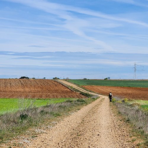 En route from Zamora to Montamarta - VdlP April 2023