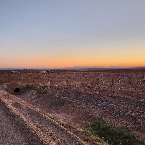 Villafranca de los Barros to Torremejia on the VdlP in April 2023