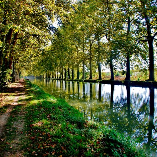 Reflections, canal outside Moissac.