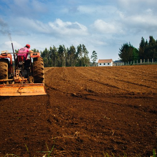 Farming Near Santiago