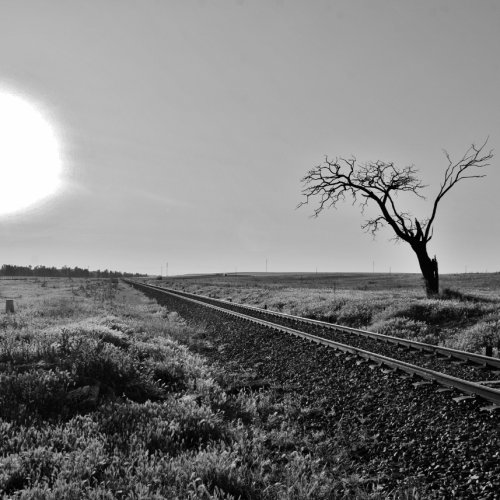 Dawn on the Tracks