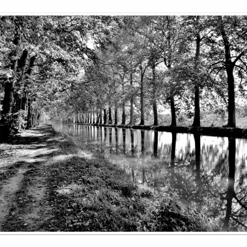 Reflections, Canal outside Moissac.