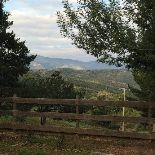 View from Riego de Ambros