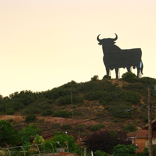 Black bull, Logroño-Navarrete