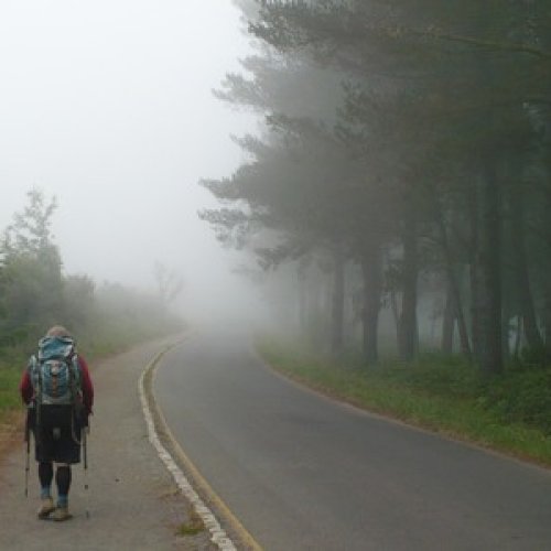 Walking through the morning fog
