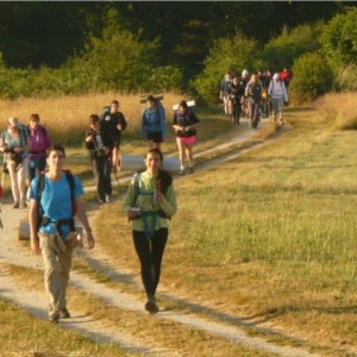 Tramping through the meadow