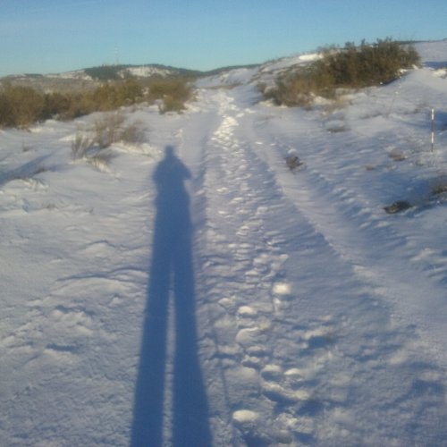 Self portrait in the snow today 1 March at Manjarin