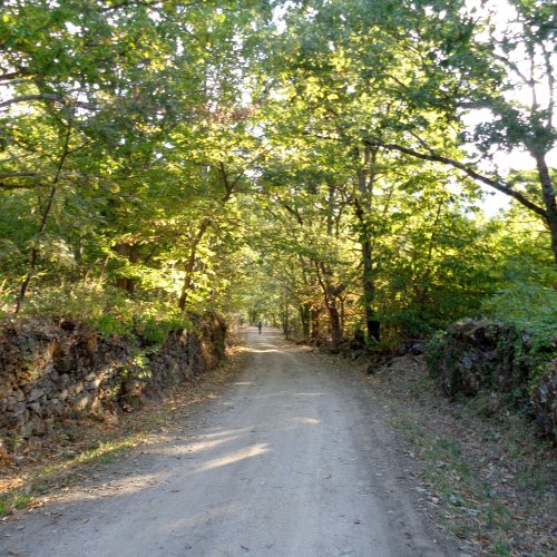 Trail to Valverde de Valdelacasa