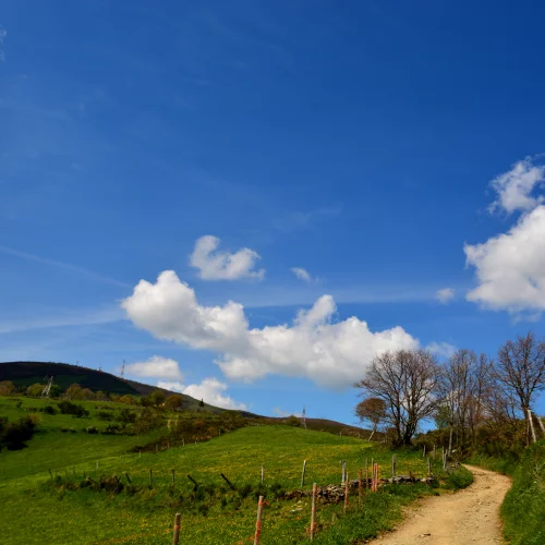 On the climb up to O'Cebreiro and into Galacia