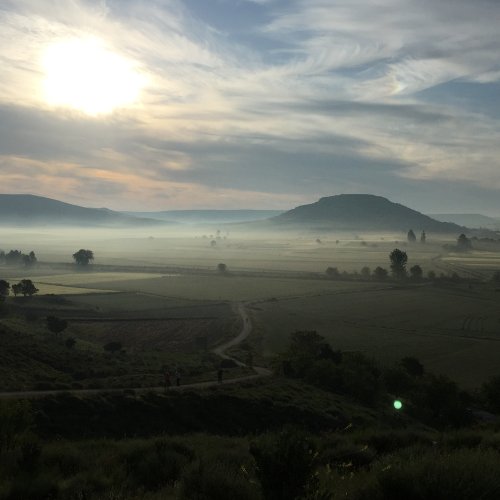 Early morning between Castrojeriz and Boadilla del Camino - June 2016