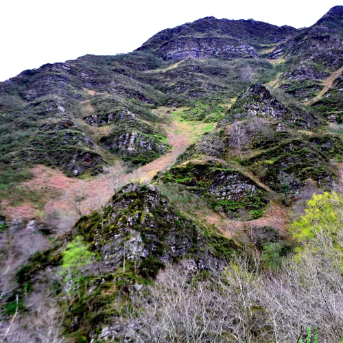 On the border of France and Spain near Ganecoleta (Gainekoleta) heading to Roncevalles