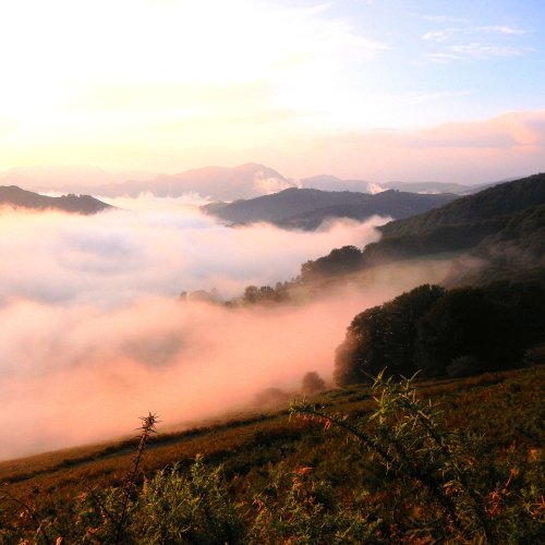 Pyrenees