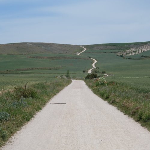 An Iconic shot of El Camino