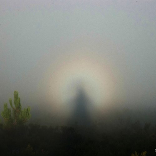 Myself high in the Mountains of Asturias, I believe this is the rare "Brocken Spectre" also know as the Solar Glory or Glory Halo.