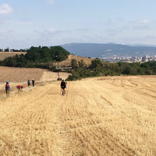 Hay Trail ... Pamplona to Perdon