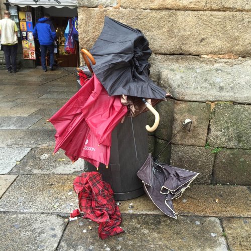 Where the umbrellas come to die!