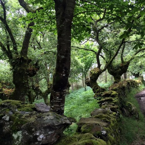 Mystical stroll along the Frances - June 2016