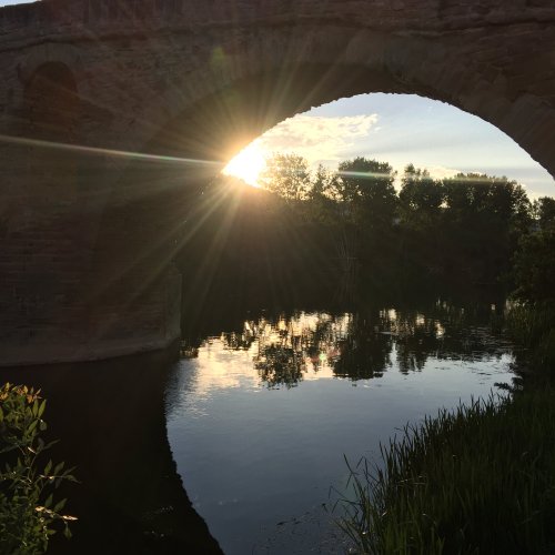 Puente de la Reina