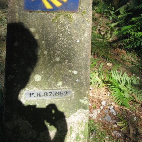 Camino must- shadow selfies