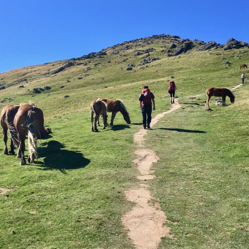 Pony trail to Col de Lepoeder