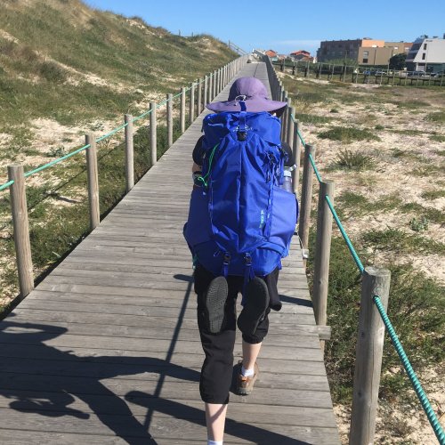 Walking the Boardwalk