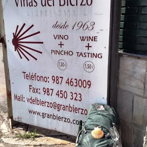 bierzo wine tasting