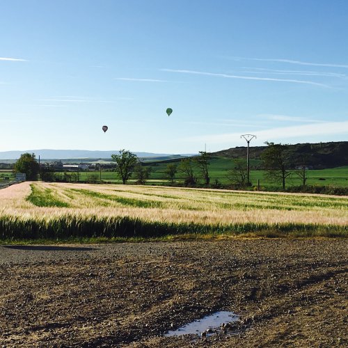 Balloons out of Navarette