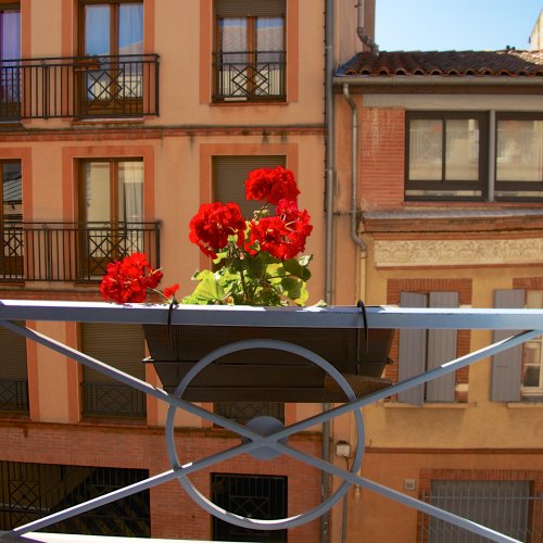 View from our Albergue window in Toulouse.