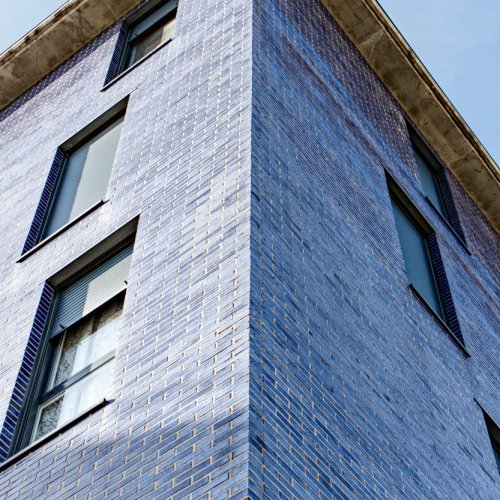 Purple (Blue) Bricks