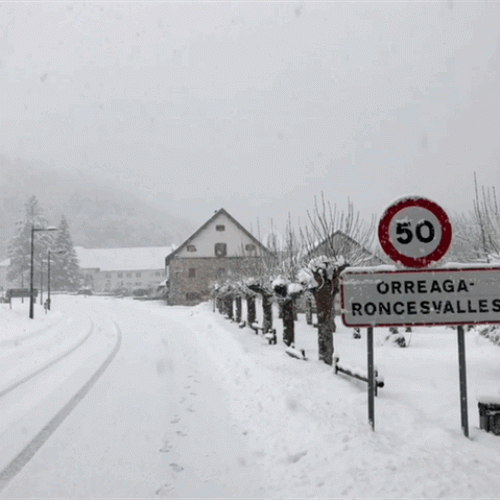 Roncesvalles Winter Snow GIF