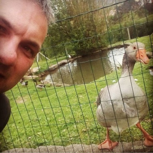 Selfie with Goose
