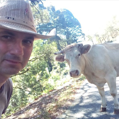 Selfie with Cow