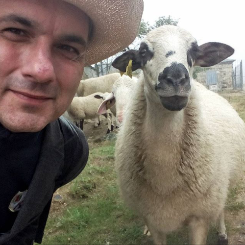 Selfie with Sheep