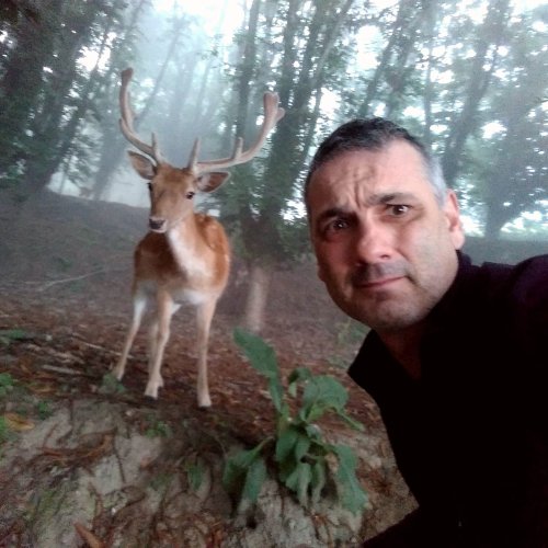 Selfie with Bambi