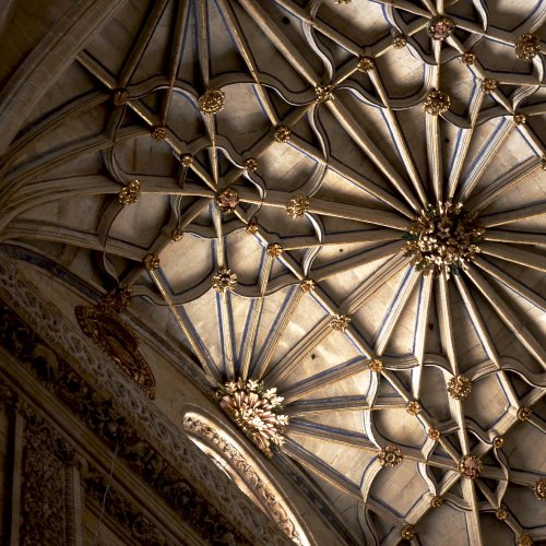 Salamanca Cathedral ceiling