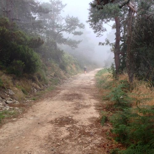 Morning Mist in Galicia