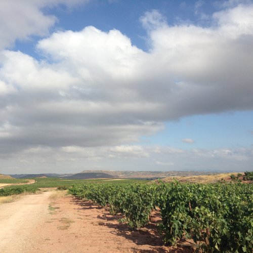Where your Rioja wine comes from